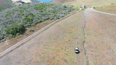 Aerial-Of-A-Rancher-Taking-Dogs-For-A-Run-Behind-Atv-On-A-Large-Farm-In-Santa-Barbara-County-California