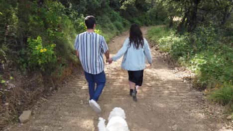 A-Man-And-Woman-Walk-Hand-In-Hand-With-Their-Dog-In-A-Forest-In-Slow-Motion
