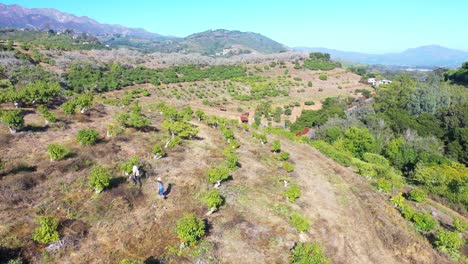 Aerial-Man-And-Woman-Stand-Together-With-Their-Dogs-Overlooking-A-Small-Organic-Local-Farm-Or-Ranch-In-Santa-Barbara-California