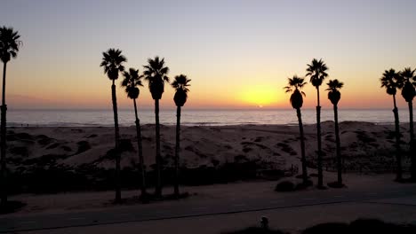 Beautiful-Aerial-Through-Palm-Trees-At-Sunset-At-A-Southern-California-Beach