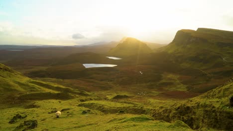 Sheep-are-seen-grazing-on-the-Quiraing-landslip-on-the-Isle-of-Skye-in-Scotland-2