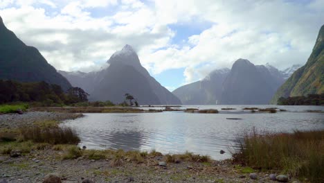 Ein-Strand-Im-Fjordland-Nationalpark-Ist-Auf-Der-Südinsel-Neuseelands-Zu-Sehen