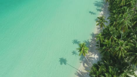 An-Aerial-View-Shows-Waves-Lapping-A-Palmtree-Lined-Beach-In-Ko-Kut-Thailand
