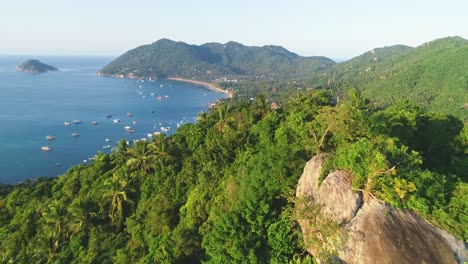 An-Aerial-View-Shows-Palm-Trees-And-Boats-Anchored-Off-The-Coast-Of-Ko-Tao-Thailand