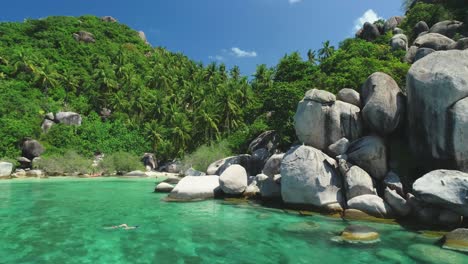 Palm-Trees-Are-Seen-Growing-On-A-Rocky-Coastline-Of-Ko-Tao-Thailand