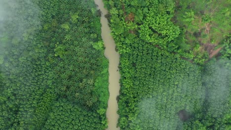 Eine-Luftaufnahme-Zeigt-Einen-Trüben-Fluss-In-Thailand,-Gesäumt-Von-Palmen-Und-Anderen-Bäumen