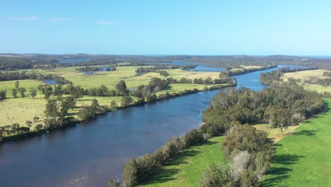 Gran-Toma-Aérea-De-Ganado-Pastando-Cerca-De-Un-Río-En-Moruya,-Nueva-Gales-Del-Sur,-Australia