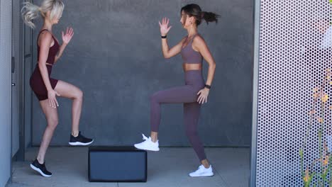 Zwei-Frauen-Machen-Während-Eines-Trainings-Kicker-Aerobic-Übungen-In-Einem-Fitnessstudio,-Um-In-Form-Zu-Bleiben