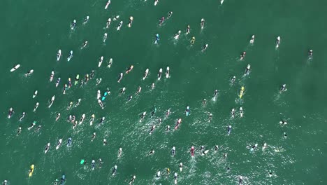 Vista-Aérea-over-surfers-in-circle-during-BLM-Black-Lives-Matter-Paddle-For-Freedom-gathering-in-California-9