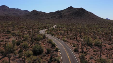 Aerial-of-a-motorcycle-on-a-desert-highway-road-with-Saguaro-cactus-all-around