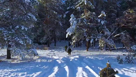 Antenne-Von-NATO-Truppen-Im-Training-In-Einer-Verschneiten-Landschaft-1