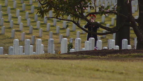 A-Bugler-Plays-Taps-At-Arlington