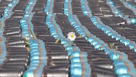 Long-Line-Of-Of-Explosive-Rounds-With-One-Flower-Sticking-Out-Between-them-2010S