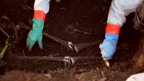 Fbi-Agents-Uncover-Human-Remains-During-their-Training-At-the-Forensic-Anthropology-Center-In-Knoxville-Tennessee-2019