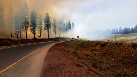 Feuerwehrleute-Führen-Einen-Kontrollierten-Brand-Eines-Kiefernwaldes-2019-Durch