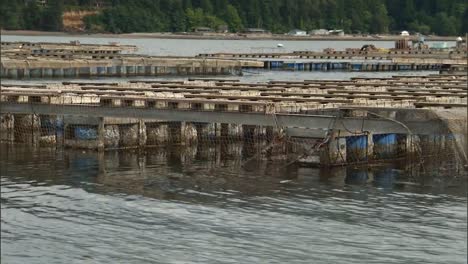 A-Floating-Aquaculture-Shellfish-Farm-In-the-Us-2010S