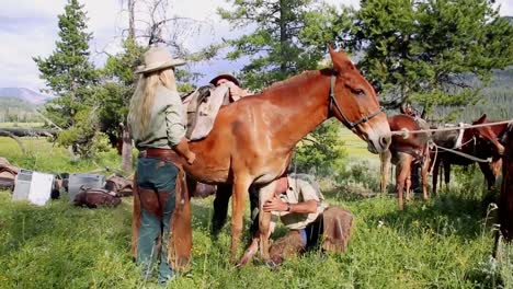 Touristen-Genießen-Den-Anblick-Der-Teton-Wildnis,-Wo-Ein-Mann-Einen-Ast-Sägt,-Um-Ihn-Aus-Dem-Weg-Zu-Räumen