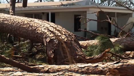 Ein-Baum,-Der-Wie-Ein-Zweig-Gespalten-Wurde,-Fiel-Aufgrund-Des-Hurrikans-Michael-2018-Auf-Ein-Haus-In-Lynn-Haven,-Florida