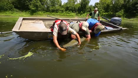 4-Workers-Leaning-Over-Side-Of-Boat-Untangling-Gar-From-Net-2018