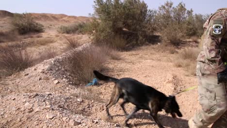 Air-Force-Dog-Handlers-From-the-332Nd-Expeditionary-Force-Practice-Explosive-Detection-Training-Techniques