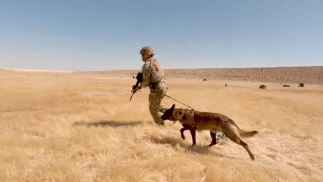 Us-Soldiers-2th-Infantry-Division-And-Military-Working-Dogs-Conduct-A-Team-Livefire-Exercise-At-Al-Asad-Air-Base-Iraq