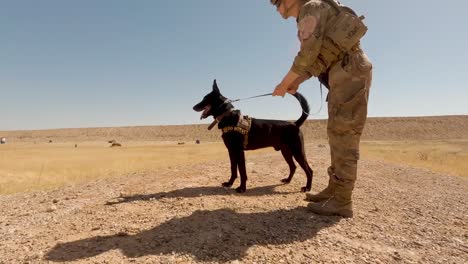 US-Soldaten-2.-Infanteriedivision-Und-Militärische-Arbeitshunde-Führen-Eine-Team-Livefire-Übung-Auf-Dem-Luftwaffenstützpunkt-Al-Asad-Im-Irak-6-Durch