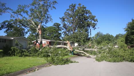 Us-Marines-And-Contractors-Clear-Debris-During-the-Recovery-Effort-From-Hurricane-Isaias-Camp-Lejeune-North-Carolina