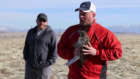 Dpg-Libera-Al-Medio-Ambiente-Aves-Rapaces-Heridas-Del-Cautiverio-En-El-Desierto-Cerca-De-Dugway-Probando-Los-Terrenos-Utah