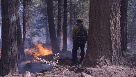 Los-Marines-De-EE.-UU.-Ayudan-A-Combatir-El-Incendio-De-Un-Arroyo-Un-Infierno-De-Llamas-E-Incendios-Forestales-En-El-Bosque-Nacional-Sierra