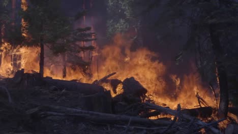 Szenen-Aus-Dem-Bachfeuer,-Einem-Inferno-Aus-Flammen-Und-Wütenden-Waldbränden-Im-Sierra-National-Forest