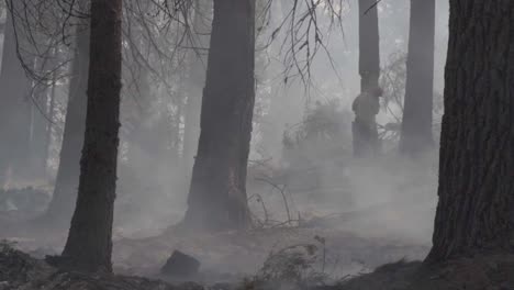 Cámara-Lenta,-Los-Marines-Estadounidenses-Luchan-Contra-El-Fuego-De-Un-Arroyo-Un-Infierno-De-Llamas-E-Incendios-Forestales-Furiosos-En-El-Bosque-Nacional-Sierra