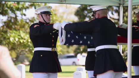 Us-Marines-In-Dress-Uniform-Lay-A-Fallen-Soldier-To-Rest-At-Arlington-National-Cemetery-Washington-4