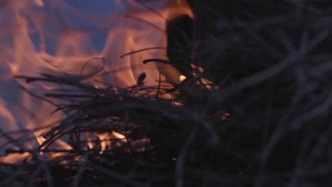 Us-Marines-And-Sailors-Conduct-Wildland-Firefighting-Operations-During-the-Creek-Fire-Sierra-National-Forest-Ca