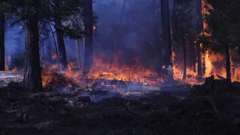 US-Marines-Und-Matrosen-Führen-Während-Des-Creek-Fire-Sierra-National-Forest-Ca