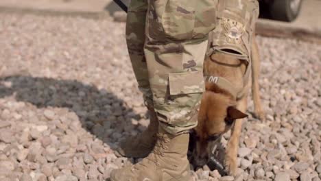 Perro-De-Trabajo-Militar-Pastor-Belga-Trenes-Con-Sus-Fuerzas-De-Seguridad-Aviador-Handler-En-La-Base-Aérea-De-Montaña-Home-2