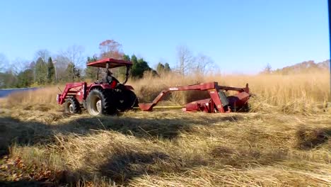 Switchgrass-Is-Grown-And-Harvested-As-A-Biomass-Feedstock