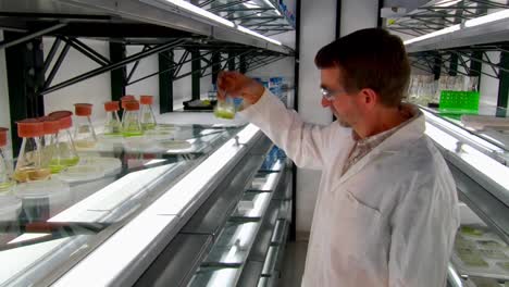 Algen-Werden-Von-Forschern-Als-Biokraftstoff-Entwickelt-Und-Genutzt
