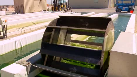 An-Outdoor-Algae-Farm-Develops-Biofuel-4