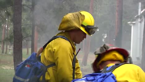 Feuerwehrleute-Wischen-Nach-Einem-Waldbrand-Auf