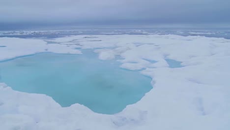 A-Pan-Across-Sea-Ice-Reveals-Walrus-In-The-Distance