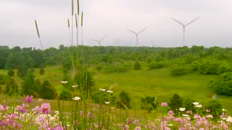 Wind-Energy-Is-A-Clean-Form-Of-Generating-Electricity-2