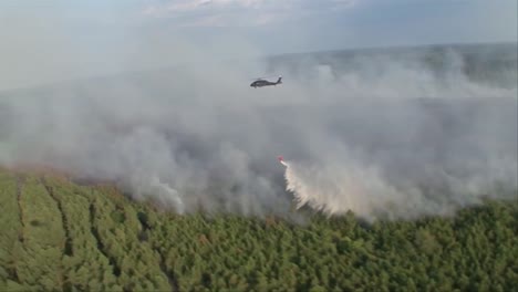 Montage-Der-Brandbekämpfung-Durch-Forstdienst-Und-Nationalgarde
