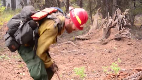 Feuerwehrleute-Wischen-Nach-Einem-Waldbrand-Auf