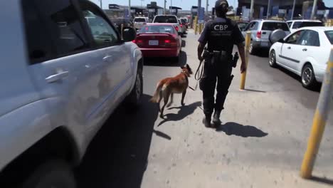 A-Canine-Unit-Patrols-Cars-Along-The-San-Ysidro-Border-Crossing-Between-The-Us-And-Mexico-2