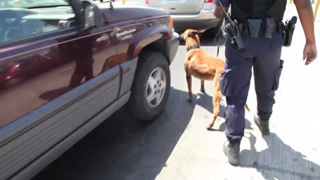 Una-Unidad-Canina-Patrulla-Coches-A-Lo-Largo-Del-Cruce-Fronterizo-De-San-Ysidro-Entre-Estados-Unidos-Y-México-3