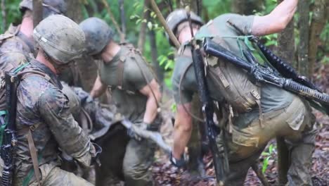 Marines-Are-Trained-In-Jungle-Warfare-6