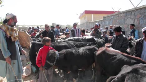 Un-Mercado-De-Ganado-En-Afganistán