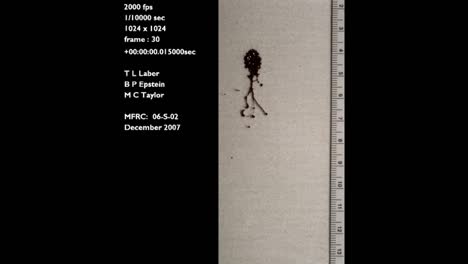 A-Forensics-Crime-Lab-Studies-A-Slow-Motion-Blood-Drop-Falling-2