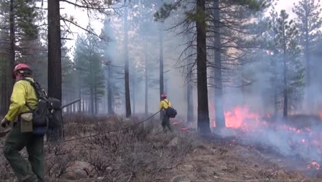 Los-Bomberos-Prendieron-Fuego-Por-La-Culata-Mientras-Luchan-Contra-Un-Incendio-Forestal