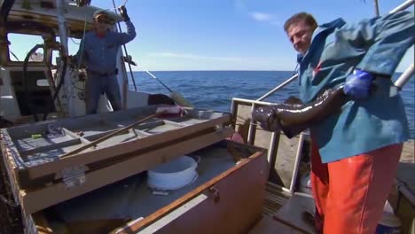 Pescadores-De-Bacalao-Negro-En-Alta-Mar-2